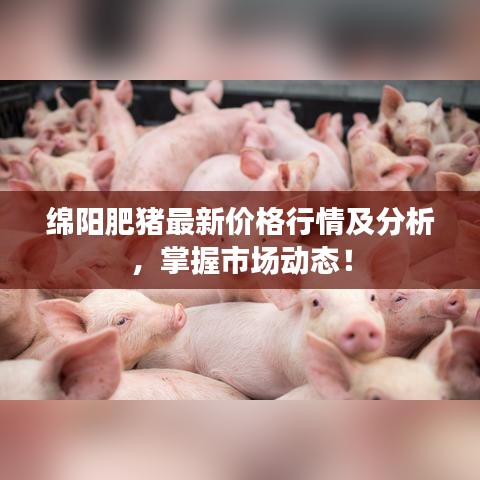 綿陽肥豬最新價格行情及分析，掌握市場動態(tài)！