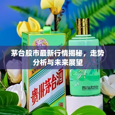 茅臺股市最新行情揭秘，走勢分析與未來展望