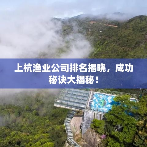 上杭漁業(yè)公司排名揭曉，成功秘訣大揭秘！