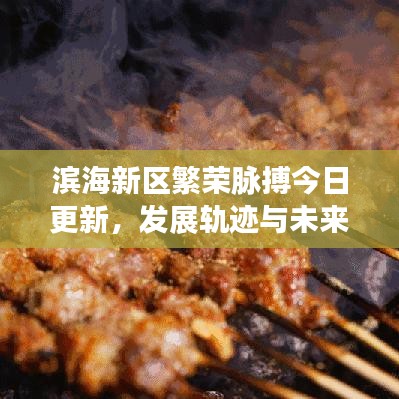 濱海新區(qū)繁榮脈搏今日更新，發(fā)展軌跡與未來展望