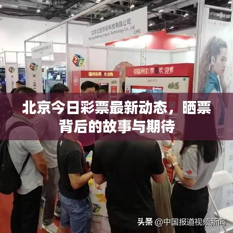 北京今日彩票最新動態(tài)，曬票背后的故事與期待