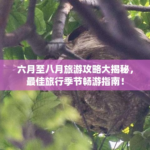 六月至八月旅游攻略大揭秘，最佳旅行季節(jié)暢游指南！