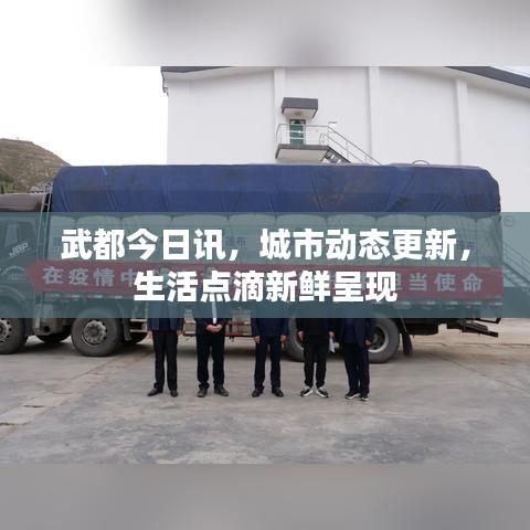 武都今日訊，城市動(dòng)態(tài)更新，生活點(diǎn)滴新鮮呈現(xiàn)
