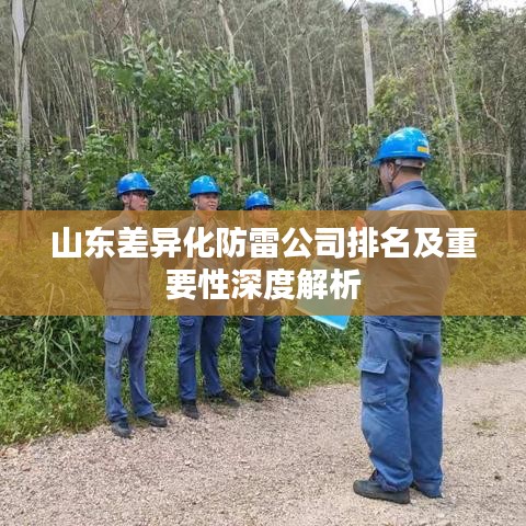 山東差異化防雷公司排名及重要性深度解析