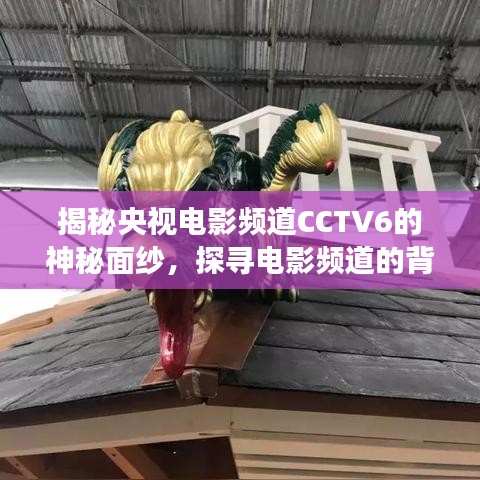 揭秘央視電影頻道CCTV6的神秘面紗，探尋電影頻道的背后故事