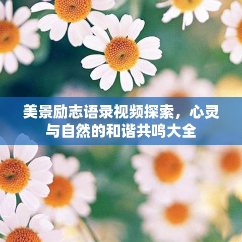 美景勵志語錄視頻探索，心靈與自然的和諧共鳴大全