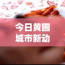今日黃圃城市新動態(tài)與生活點滴速遞