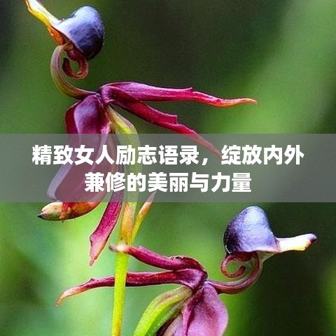 精致女人勵志語錄，綻放內(nèi)外兼修的美麗與力量