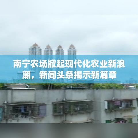 南寧農(nóng)場掀起現(xiàn)代化農(nóng)業(yè)新浪潮，新聞頭條揭示新篇章