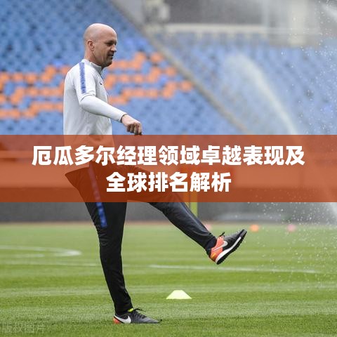 厄瓜多爾經(jīng)理領(lǐng)域卓越表現(xiàn)及全球排名解析