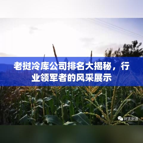 老撾冷庫(kù)公司排名大揭秘，行業(yè)領(lǐng)軍者的風(fēng)采展示