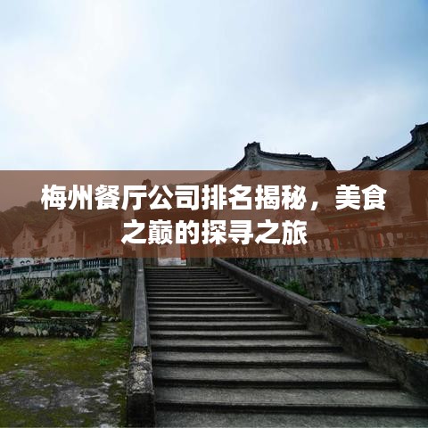 梅州餐廳公司排名揭秘，美食之巔的探尋之旅
