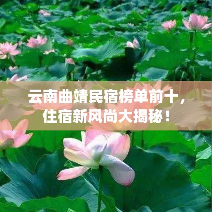 云南曲靖民宿榜單前十，住宿新風(fēng)尚大揭秘！