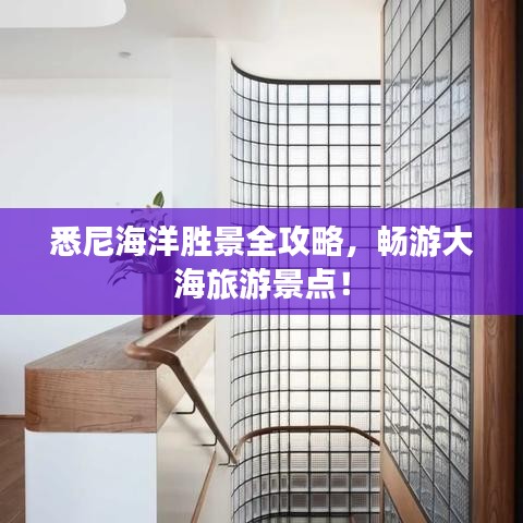 悉尼海洋勝景全攻略，暢游大海旅游景點！