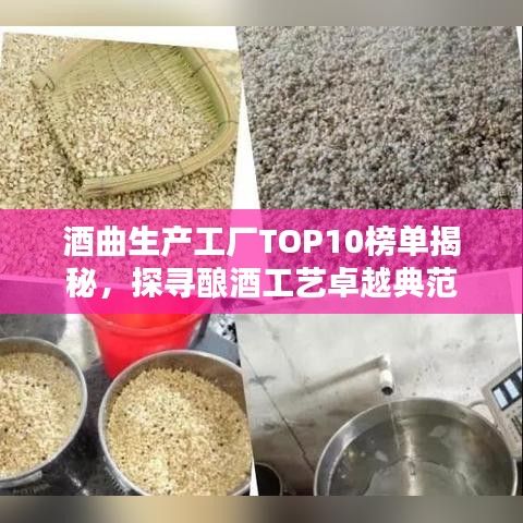 酒曲生產(chǎn)工廠TOP10榜單揭秘，探尋釀酒工藝卓越典范