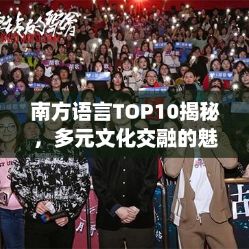 南方語言TOP10揭秘，多元文化交融的魅力之地