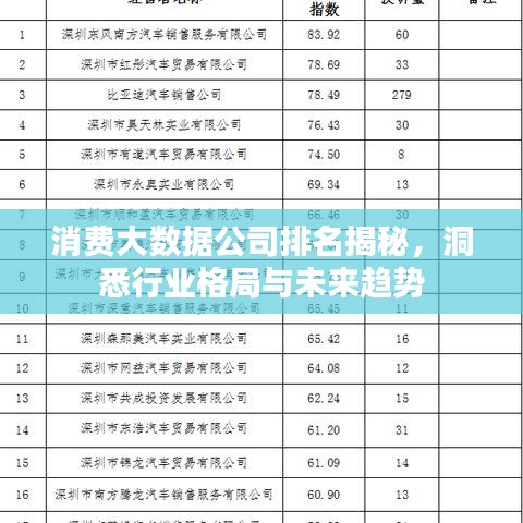 消費大數(shù)據(jù)公司排名揭秘，洞悉行業(yè)格局與未來趨勢