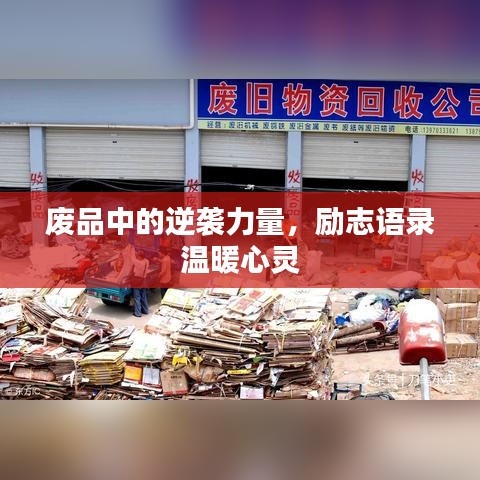 廢品中的逆襲力量，勵志語錄溫暖心靈