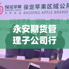 永安期貨管理子公司行業(yè)地位及發(fā)展?jié)摿颐嘏判邪? class=