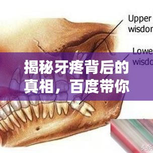 揭秘牙疼背后的真相，百度帶你探索牙疼成因！