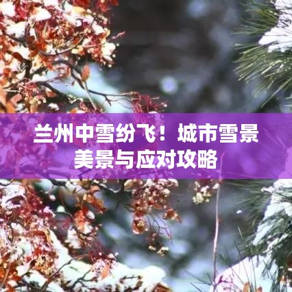 蘭州中雪紛飛！城市雪景美景與應(yīng)對(duì)攻略