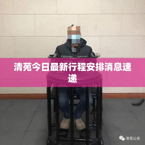 清苑今日最新行程安排消息速遞