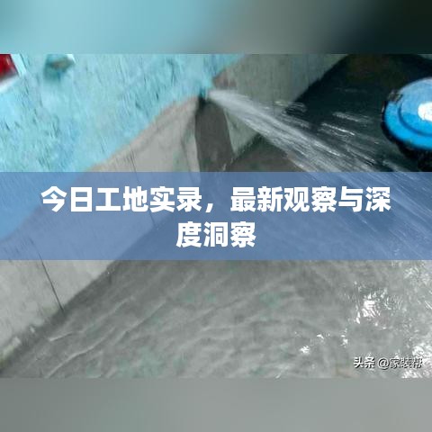 今日工地實錄，最新觀察與深度洞察