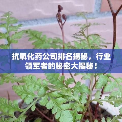 抗氧化藥公司排名揭秘，行業(yè)領軍者的秘密大揭秘！
