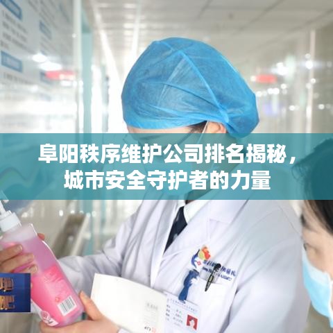 阜陽秩序維護公司排名揭秘，城市安全守護者的力量