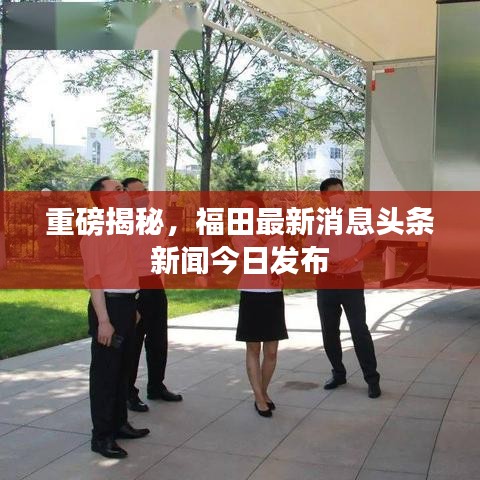 重磅揭秘，福田最新消息頭條新聞今日發(fā)布