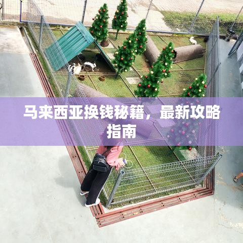 馬來西亞換錢秘籍，最新攻略指南