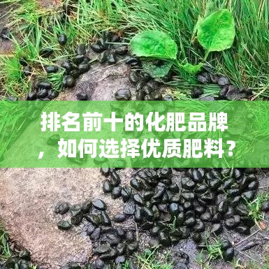 排名前十的化肥品牌，如何選擇優(yōu)質肥料？選購指南全解析！