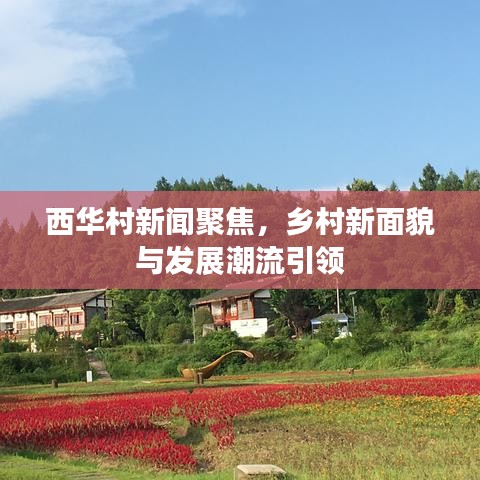 西華村新聞聚焦，鄉(xiāng)村新面貌與發(fā)展潮流引領(lǐng)