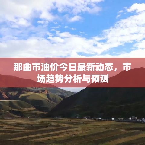 那曲市油價(jià)今日最新動(dòng)態(tài)，市場(chǎng)趨勢(shì)分析與預(yù)測(cè)
