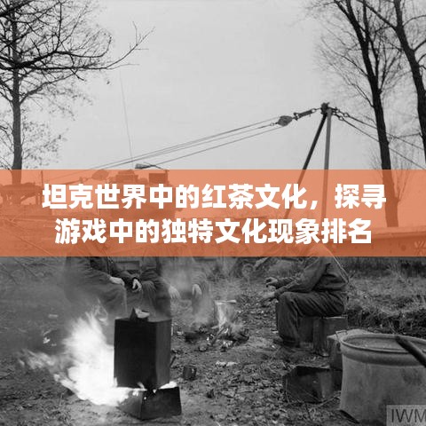 坦克世界中的紅茶文化，探尋游戲中的獨(dú)特文化現(xiàn)象排名