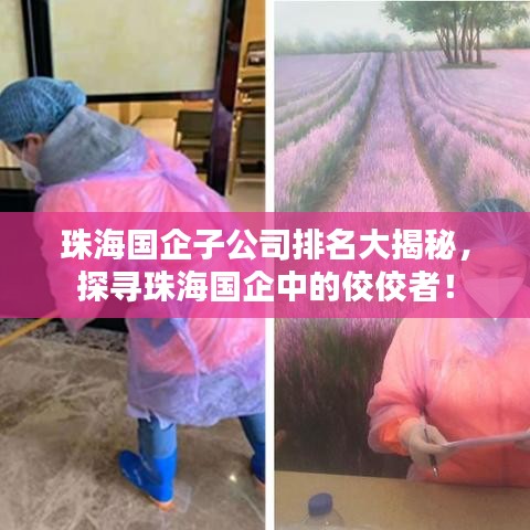 珠海國企子公司排名大揭秘，探尋珠海國企中的佼佼者！