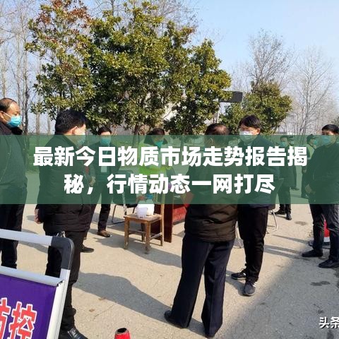 最新今日物質(zhì)市場(chǎng)走勢(shì)報(bào)告揭秘，行情動(dòng)態(tài)一網(wǎng)打盡