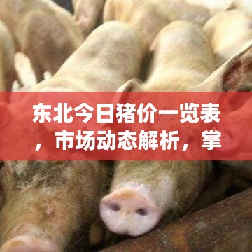 東北今日豬價一覽表，市場動態(tài)解析，掌握豬價走勢最新情報