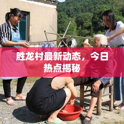 勝龍村最新動態(tài)，今日熱點揭秘