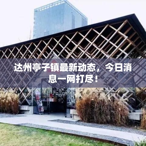達(dá)州亭子鎮(zhèn)最新動(dòng)態(tài)，今日消息一網(wǎng)打盡！