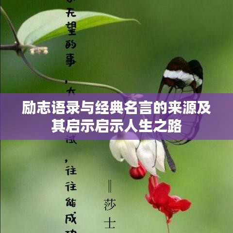 勵志語錄與經(jīng)典名言的來源及其啟示啟示人生之路