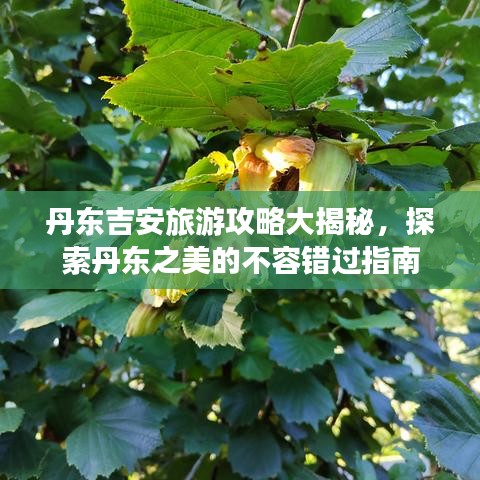 丹東吉安旅游攻略大揭秘，探索丹東之美的不容錯(cuò)過(guò)指南