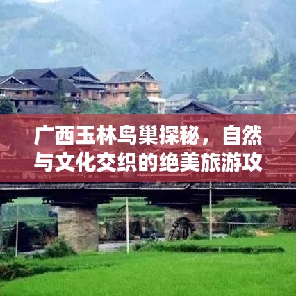 廣西玉林鳥巢探秘，自然與文化交織的絕美旅游攻略圖
