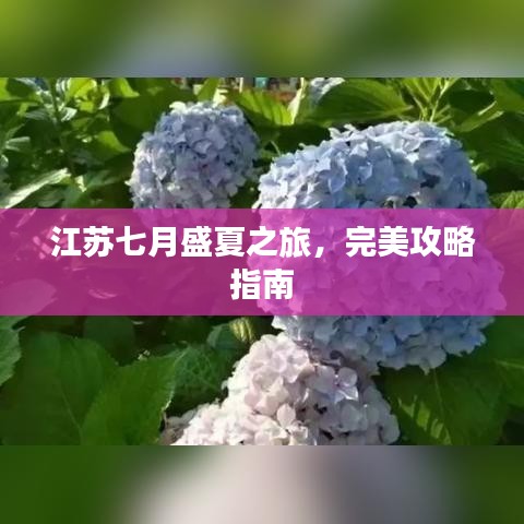 江蘇七月盛夏之旅，完美攻略指南