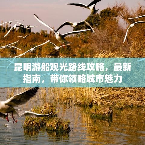 昆明游船觀光路線攻略，最新指南，帶你領(lǐng)略城市魅力