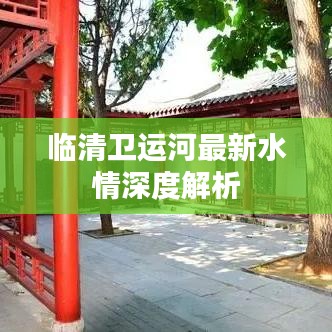臨清衛(wèi)運(yùn)河最新水情深度解析