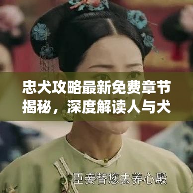 忠犬攻略最新免費章節(jié)揭秘，深度解讀人與犬的深厚情感紐帶