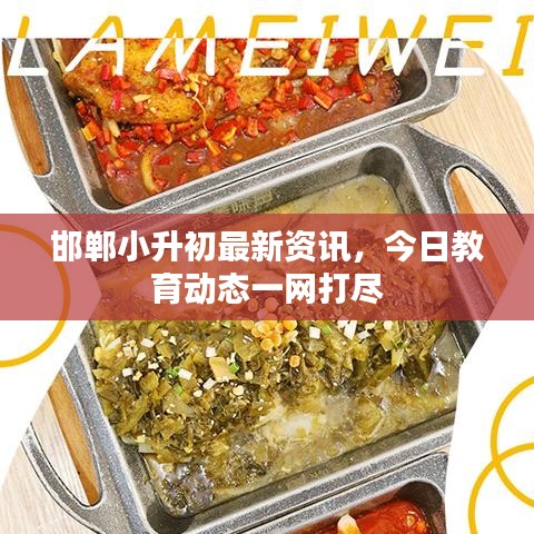 邯鄲小升初最新資訊，今日教育動態(tài)一網(wǎng)打盡