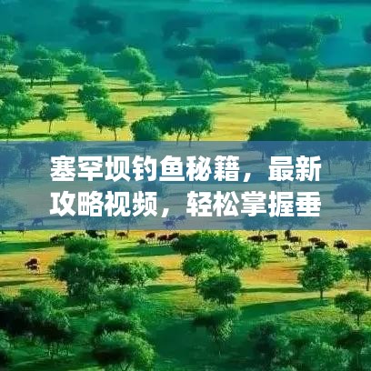 塞罕壩釣魚秘籍，最新攻略視頻，輕松掌握垂釣技巧，盡享自然垂釣樂趣！