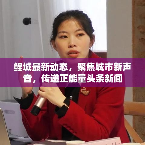 鯉城最新動(dòng)態(tài)，聚焦城市新聲音，傳遞正能量頭條新聞